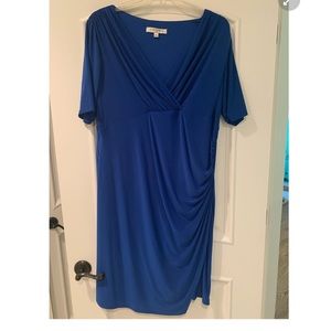 Plus Size Evan Picone Women’s Dress